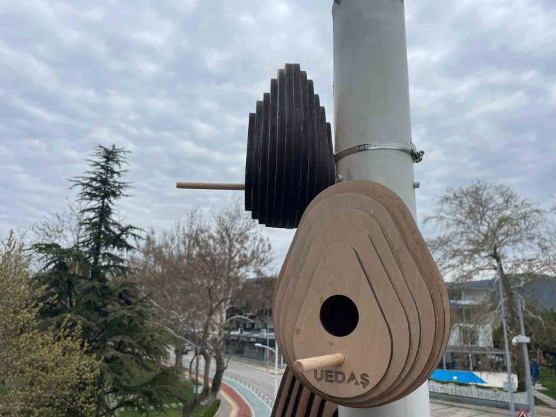 Sokak lambaları kuşların yeni yuvası oldu
