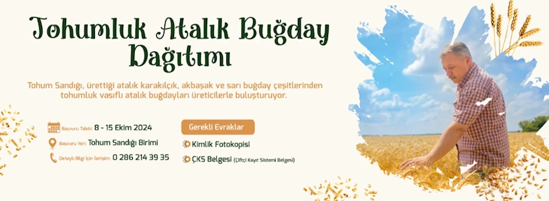 Tohumluk Atalık Buğday Dağıtımı Başlıyor…