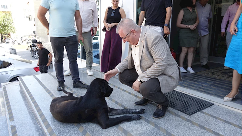 Edremit Belediye Başkanı Ertaş, bir köpeği sahiplendi